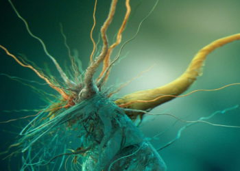 Científicos israelíes logran detectar bacterias resistentes y bacterias tolerantes