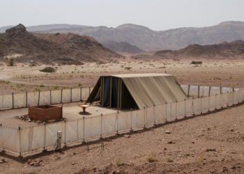 Con Biblias y palas, la búsqueda del tabernáculo bíblico se acelera en Shiloh