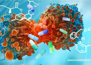 Nano-cápsulas para tratar el cáncer de estómago