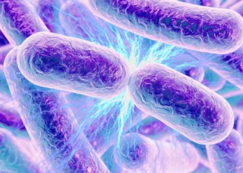 Científicos de Israel diseñan bacterias que convierten CO2 en energía