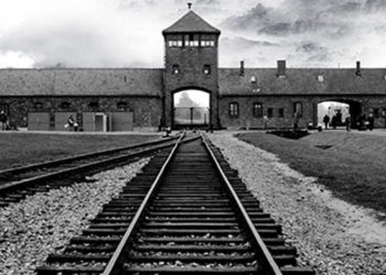 Oficial israelí de la reserva disciplinado por firmar en Auschwitz culpando a los polacos por complicidad con los nazis