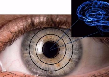 Investigadores israelíes buscan en los ojos signos tempranos de Alzheimer