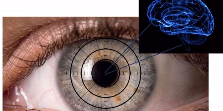 Investigadores israelíes buscan en los ojos signos tempranos de Alzheimer