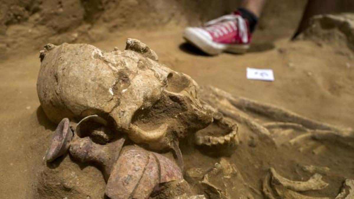 Arqueólogos en Israel desentierran un cementerio filisteo con 145 esqueletos enteros