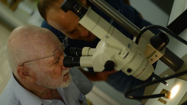 Prof. Dr. Klein Achituv examinando el papiro (Foto: Shai Halevi, cortesía de la Autoridad de Antigüedades de Israel)