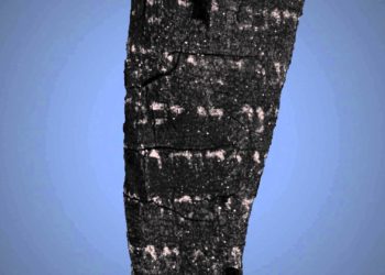 Esta Torá carbonizada de 2000 años de antigüedad dejó impresionados a científicos y rabinos - Biblia Hebrea - Rollos del Mar Muerto