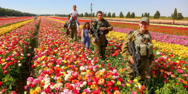 Soldados israelíes van caminando entre los cultivos de flores en Nir Yitzhak, al sur de Israel, en el lugar que era un área de ensayo para tanques y soldados israelíes durante la “Operación Margen Protector” del verano pasado. (Foto: Edi Israel / FLASH90)