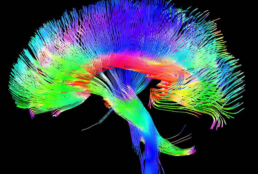 Elimina los temblores de Parkinson sin dolor