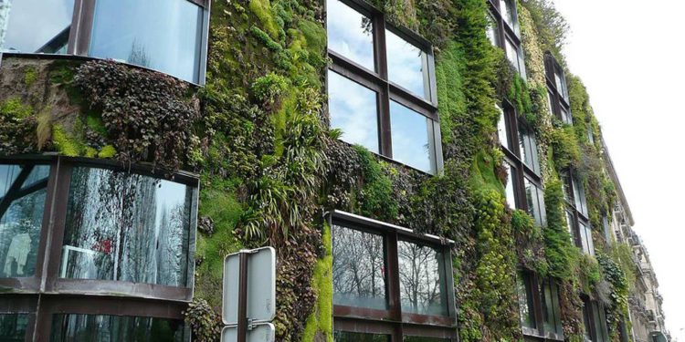 Una pared viva y llena de vegetación en el Museo Caen Branly en París. (Con fines ilustrativos)