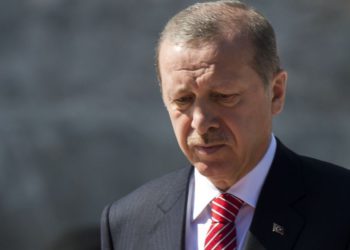 Egipto: no tomaremos parte en la campaña dirigida por Erdogan