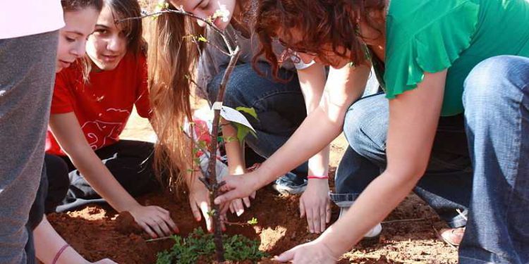Israel celebra el Año Nuevo de los Árboles: Tu Bishvat