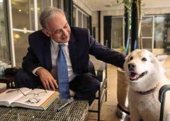 Murió Kaia, la mascota de Netanyahu