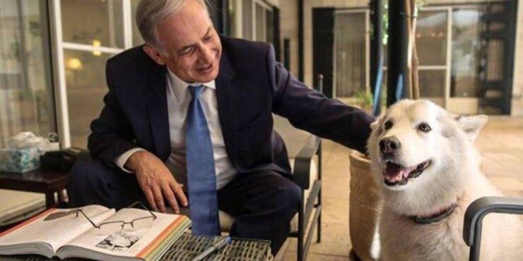 Murió Kaia, la mascota de Netanyahu