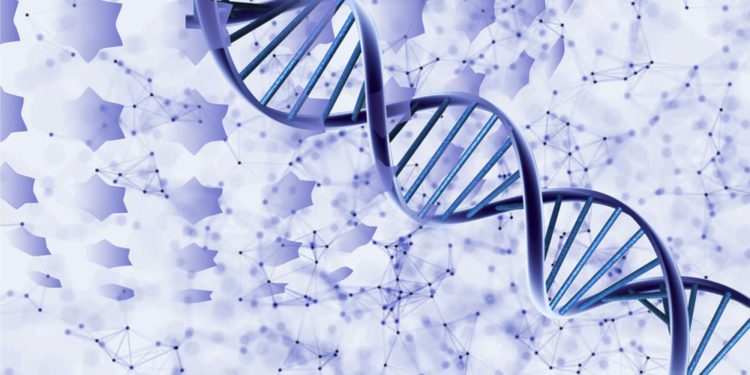 Pruebas de Genética podrían identificar a millones con raíces judías