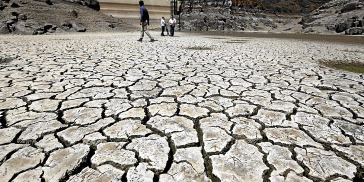 Ciudad del Cabo, Sudáfrica, pronto se quedará sin agua - Israel