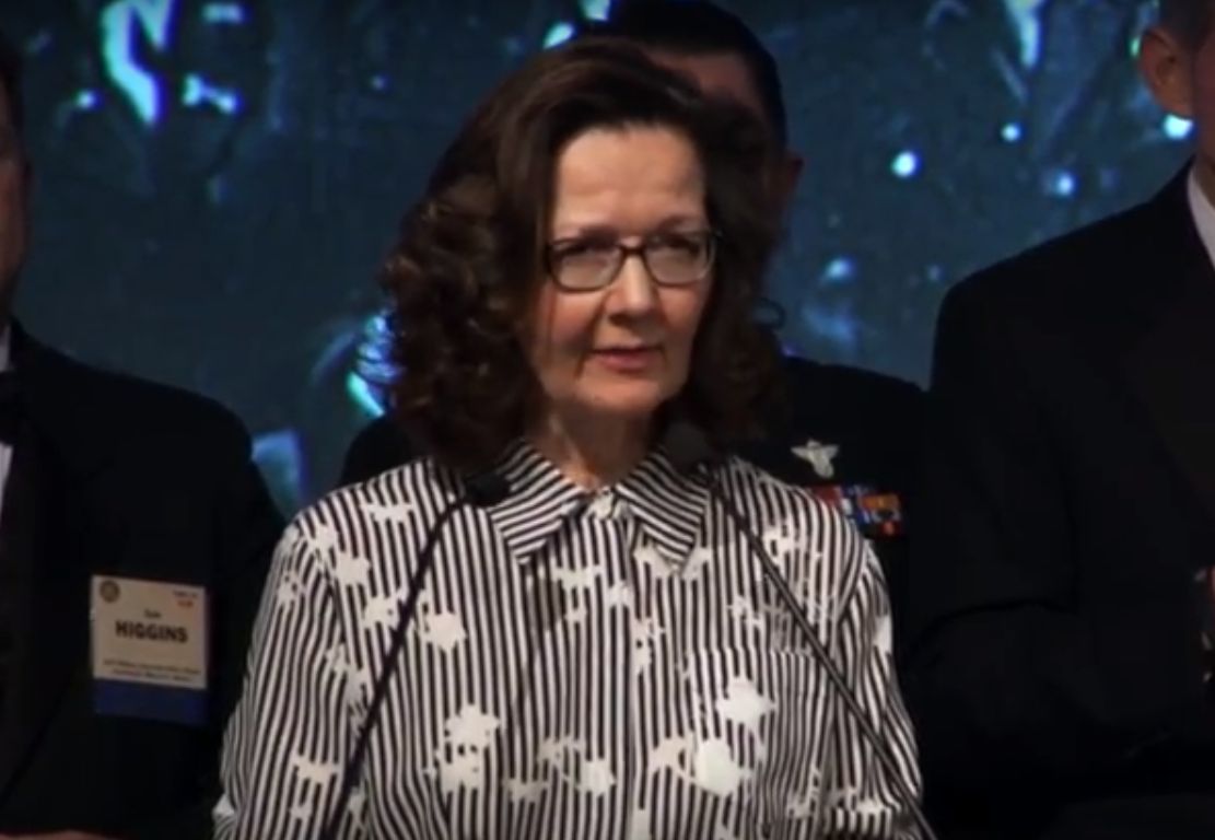 La entrante directora de la CIA, Gina Haspel. (Captura de pantalla: Youtube)