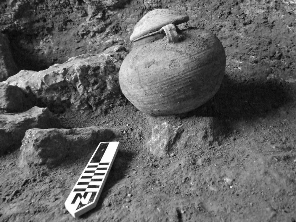 Olla romana con los restos de un legionario romano cremado, encontrado en el campamento militar romano descubierto en Legio por Tel Meguido. (Foto: Yotam Tepper)