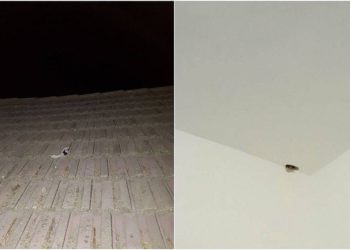 Bala disparada desde Gaza golpea casa de familia israelí