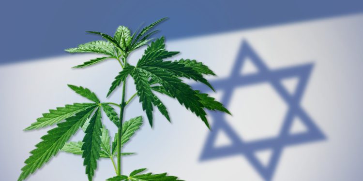 Israel supera a Alemania como el mayor importador de cannabis medicinal en el mundo