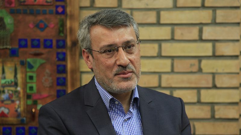 Hamid Baeidinejad, un importante negociador nuclear iraní y jefe de asuntos políticos y seguridad internacional en el Ministerio de Relaciones Exteriores. (Wikipedia / M.karbassi / CC BY-SA 4.0)