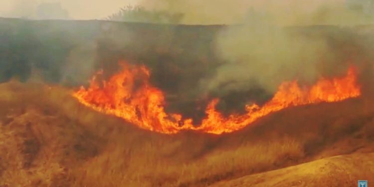 Islamistas de Gaza causan incendio masivo en Israel con cometa en llamas