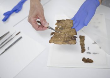 Conservación de los rollos en el laboratorio de Rollos del Mar Muerto del IAA. Crédito: Shai Halevi, Biblioteca Digital de los Rollos del Mar Muerto de Leon Levy - Biblioteca Digital de los Rollos del Mar Muerto