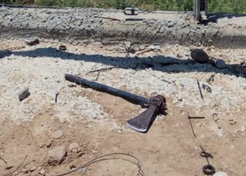 FDI abatió a islamista de Gaza que se infiltró a Israel con un hacha