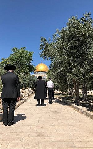 Un grupo de judíos ultraortodoxos reza cerca de la Cúpula de la Roca en el Monte del Templo, el 18 de junio de 2018. Oficialmente, está prohibida la oración judía en lo alto del monte (Amanda Borschel-Dan / Times of Israel)