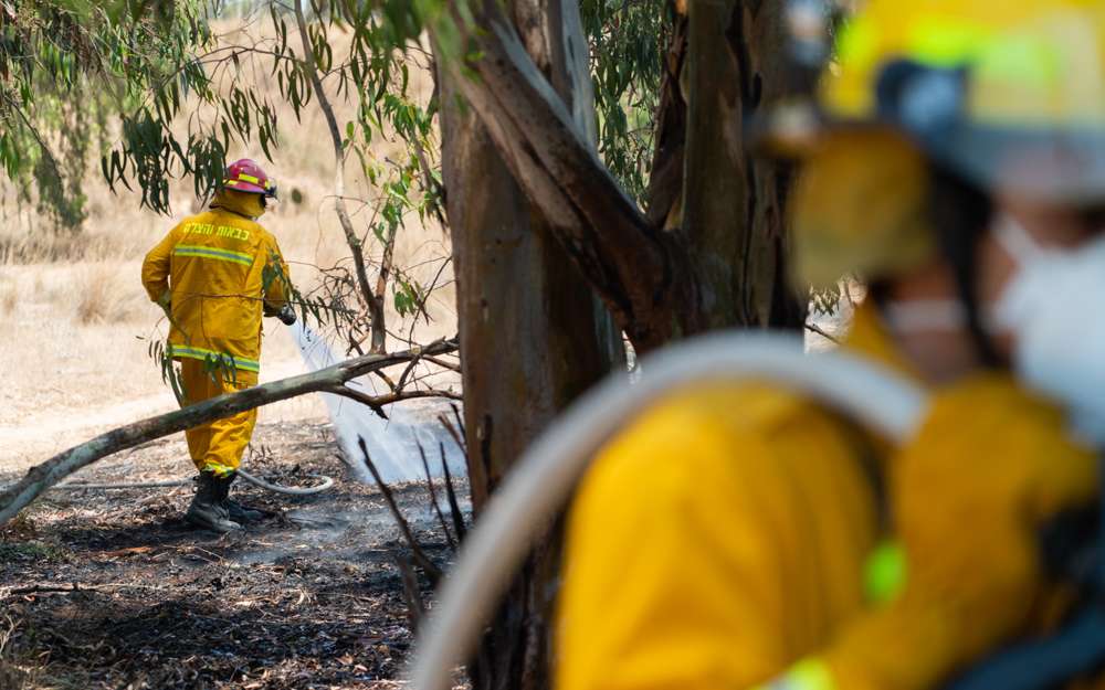 Los bomberos apagaron un incendio en el bosque de Beeri, el 6 de junio de 2018. (Luke Tress / Times of Israel)