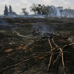 Tierra en el sur de Israel, cerca de la frontera de Gaza, quemada por cometas incendiarias enviadas desde Gaza. (Yehuda Peretz / KKL-JNF / cortesía)