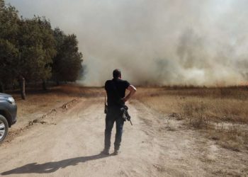 Ola de incendios en Israel por cometas en llamas enviadas desde Gaza