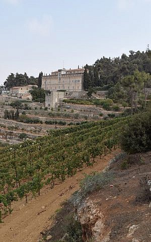 Viñedo de Cremisan entre Jerusalén y Belén. (Cortesía de Kevin Begos)