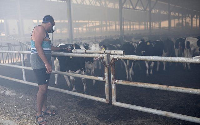 El humo llena el establo en el Kibbutz Nahal-Oz el sábado mientras los bomberos luchan contra un incendio provocado por un dispositivo incendiario lanzado desde Gaza el 21 de julio de 2018. (Gili Yaari / FLASH90)