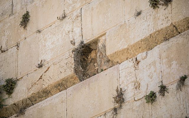 Vista del lugar donde un gran trozo de piedra se desprendió del Muro de los Lamentos en Jerusalén en la sección de oración mixta el 23 de julio de 2016. (Yonatan Sindel / Flash90)