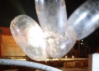 Globos incendiarios aterrizan por primera vez en Beersheva