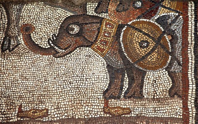 El mosaico del quinto siglo de la sinagoga Huqoq, con el registro superior que muestra un elefante de guerra. (Jim Haberman)