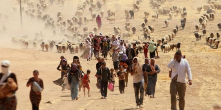 No todos los que huyen del peligro son refugiados