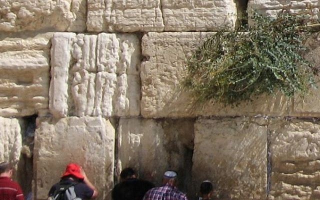 Parte del Muro Occidental muestra piedras altamente erosionadas junto con las bien conservadas. (Crédito de la foto: Dr. Simon Emmanuel / Hebrew University)