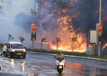Fotos del daño causado por el terrorismo incendiario de Gaza