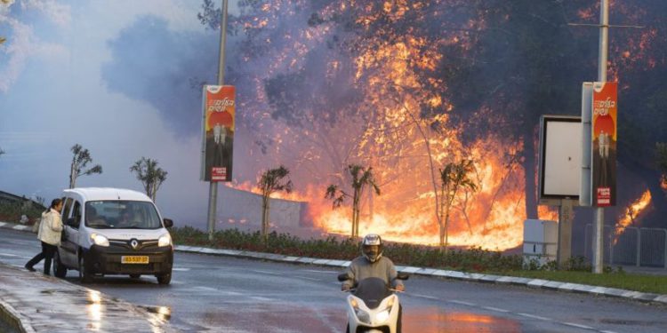 Fotos del daño causado por el terrorismo incendiario de Gaza
