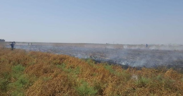 Tierras de cultivo ennegrecidas en el sur de Israel de cometa incendiaria