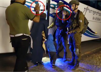 Algunos cascos blancos se negaron a evacuar a través de Israel