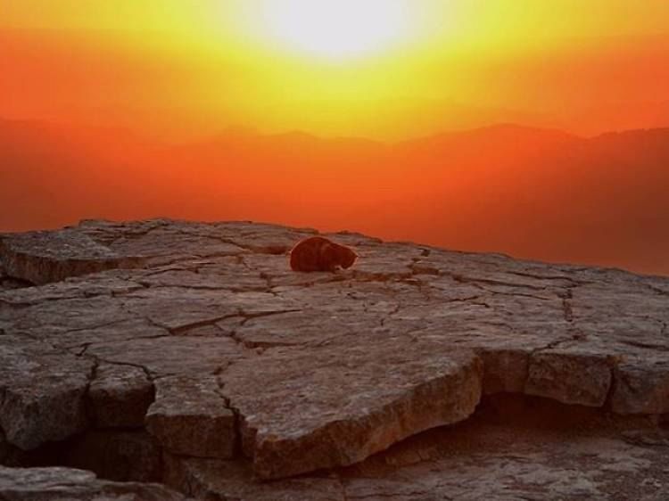 1-Desde el borde de un cráter: Mitzpe Ramon