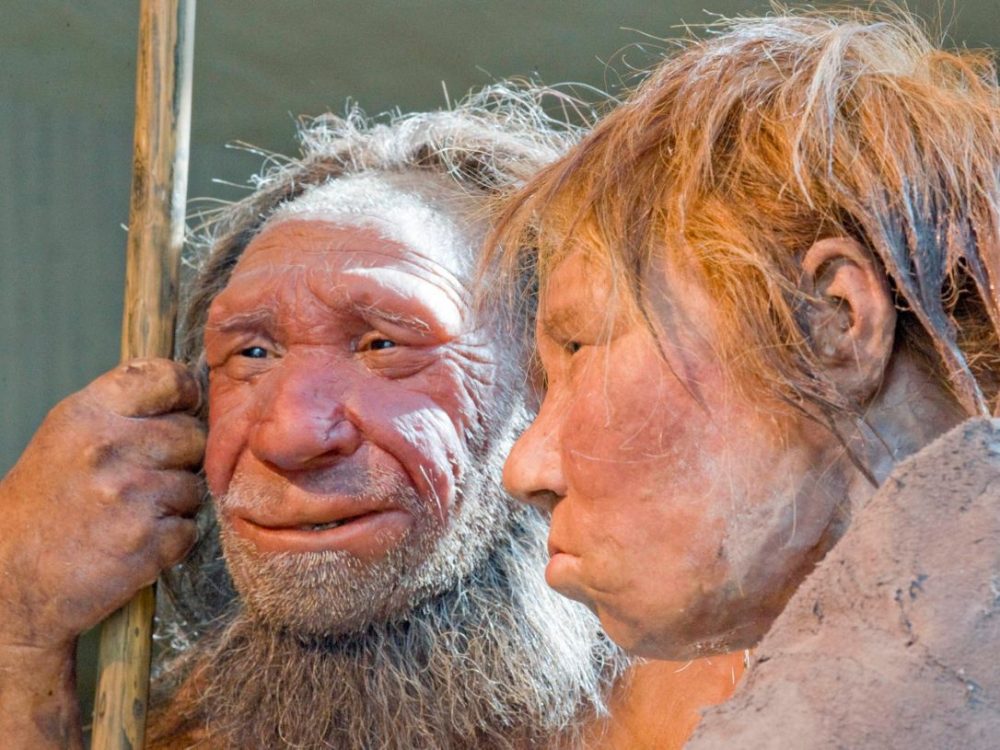 Reconstrucciones de un hombre de Neanderthal llamado "N", izquierda, y una mujer llamada "Wilma", en el museo Neanderthal en Mettmann, Alemania, 2009. (Martin Meissner / AP)