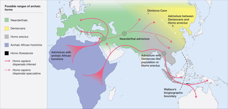 Dispersión hipotética de Neanderthal-Denisovan (Roberts y Stewart. 2018. Defin)