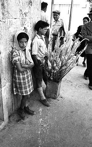 Una foto callejera tomada por Efraim Ilani. (Cortesía)