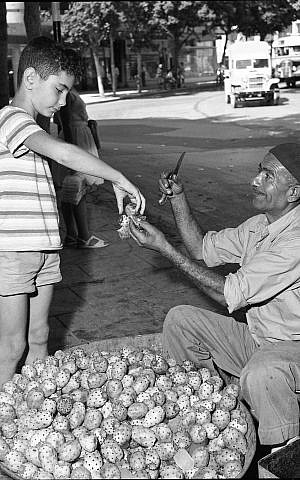 Un hombre vendiendo sabras en la calle en la década de 1950. (Efraim Ilani)