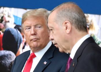 Legisladores estadounidenses instan a Trump a sancionar a Turquía