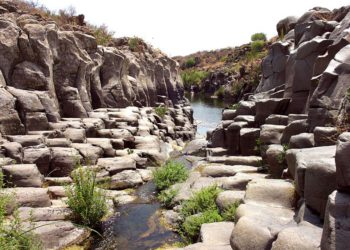 Empresa bombea agua limpia a ríos del norte de Israel para eliminar bacterias de leptospirosis