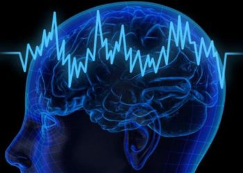 Científicos israelíes: Los estados de ánimo y las percepciones sensoriales están relacionados